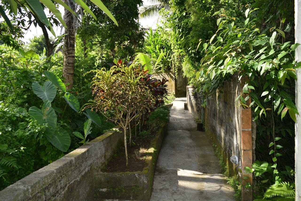 Villa Bindi Ubud  Exterior photo